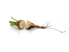 Micro White beetroots