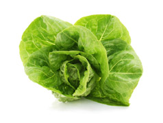PUUR Lettuce Green