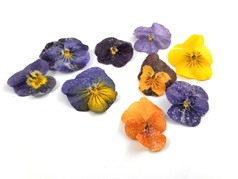 Crystalized pansies