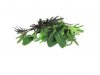 Mini koolleaves mix