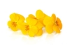 Edible flowers | Yellow pansies
